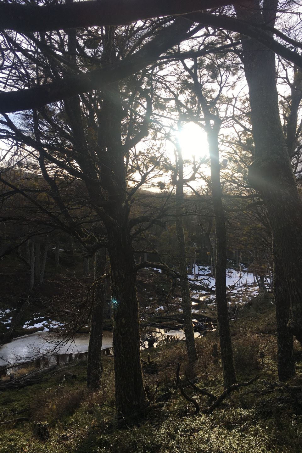 L’hiver, saison des promesses&nbsp;murmurées